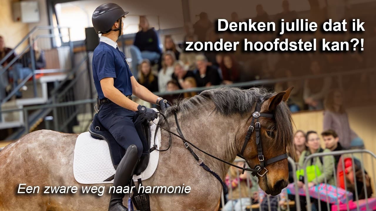 Robin en zijn paard tijdens een demo